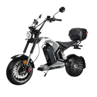 Электроскутер WHITE SIBERIA Wild Wheel 2025 5000W