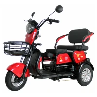 Электротрицикл IKINGI SIBTRIKE Т3 Красный